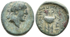 SELEUKID KINGDOM. Antiochos II Theos (261-246 BC). Sardes
AE Bronze (11.9mm 1.83g)
Obv: Laureate head of Apollo right.
Rev: BAΣΙΛΕΩΣ / ANTIOXOY. Tr...