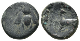 Ionia. Ephesos. (202-133 BC) Bronze Æ. Obv: bee. Rev: deer in front of palm tree. Weight 2,93 gr - Diameter 13 mm