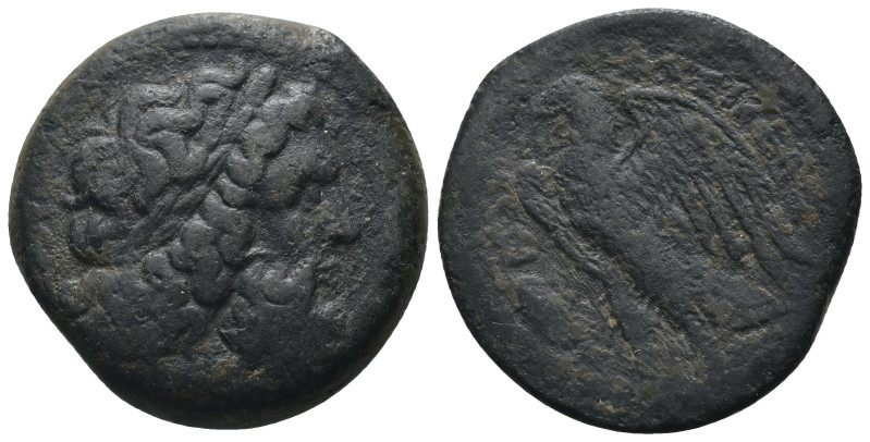 biddr - DEMOS, Auction 31, lot 485. Ptolemaic Kingdom. Ptolemy V ...