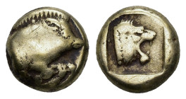 Lesbos, Mytilene EL Hekte.Lesbos, Mytilene EL Hekte. Circa 454-427 BC. Forepart of boar right / Head of lion right within linear square. Bodenstedt 41...