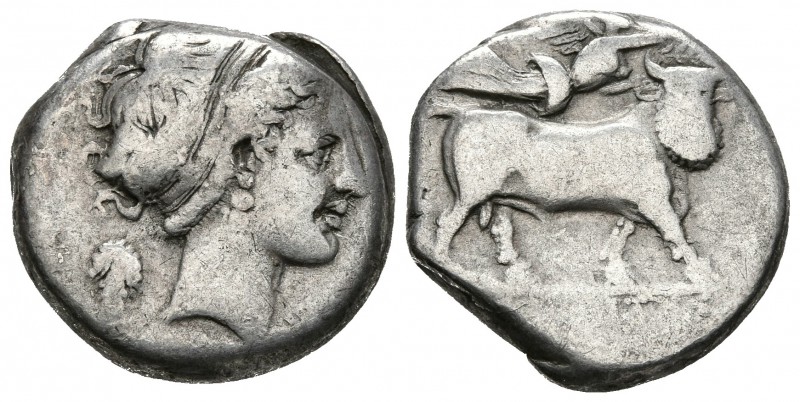 CAMPANIA. Neapolis. Didracma. 300-275 a.C. A/ Cabeza de Ninfa a derecha. R/ Toro...