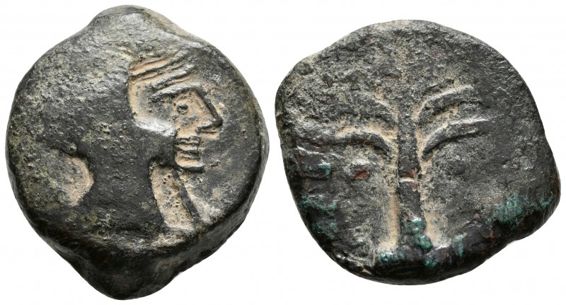 BARIA. As. 200-100 a.C. Villaricos (Almería). A/ Cabeza de Heracles con piel de ...