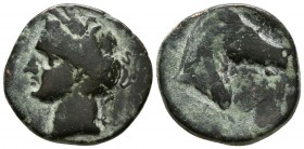 CARTAGONOVA. Calco. 220-215 a.C. Cartagena (Murcia). A/ Cabeza de Tanit a izquierda. R/ Cabeza de caballo a derecha, delante letra fenicia Bet. FAB-51...