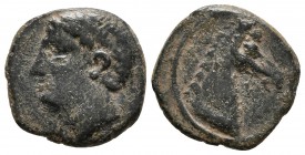 CARTAGONOVA. 1/4 Calco. 220-215 a.C. Cartagena (Murcia). A/ Cabeza masculina a izquierda. R/ Cabeza de caballo a derecha. FAB-554. Ae. 2,10g. MBC.