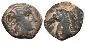 CARTAGONOVA. 1/4 Calco. 220-215 a.C. Cartagena (Murcia). A/ Cabeza de Tanit a derecha. R/ Cabeza de caballo a izquierda. FAB-556. Ae. 1,52g. MBC.