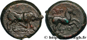 APULIA - ARPI
Type : Unité 
Date : c. 275-250 AC. 
Mint name / Town : Arpi, Apulie 
Metal : copper 
Diameter : 17,5  mm
Orientation dies : 12  h.
Weig...
