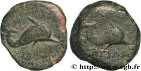 APULIA - SALAPIA
Type : Unité 
Date : c. 275-250 AC. 
Mint name / Town : Salapia, Apulie  
Metal : copper 
Diameter : 14,5  mm
Orientation dies : 3  h...