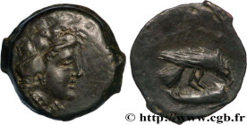 SARMATIA - OLBIA
Type : Unité 
Date : c. 300-200 AC. 
Mint name / Town : Istros, Thrace 
Metal : copper 
Diameter : 19,5  mm
Orientation dies : 2  h.
...