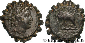 SYRIA - SELEUKID KINGDOM - ANTIOCHUS VI DIONYSUS
Type : Unité 
Date : c. 145-142 AC. 
Mint name / Town : Antioche, Syrie 
Metal : copper 
Diameter : 2...