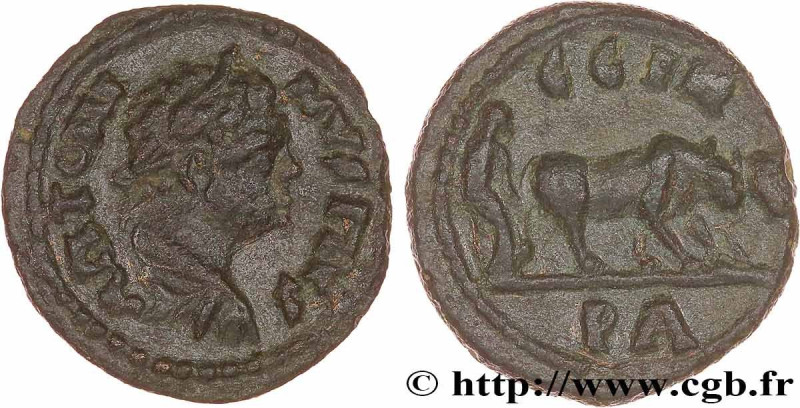 CARACALLA
Type : Unité 
Date : c. 217-218 
Mint name / Town : Parium, Mysie 
Met...
