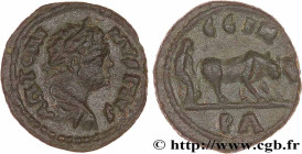 CARACALLA
Type : Unité 
Date : c. 217-218 
Mint name / Town : Parium, Mysie 
Metal : copper 
Diameter : 15  mm
Orientation dies : 7  h.
Weight : 1,97 ...