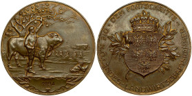 Austria Medal 1934
