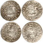Lithuania Polgrosz 1509 & 1510 Vilnius Lot of 2 coins