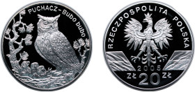 Poland Third Republic 2005 MW 20 Zlotys (Puchacz (Bubo bubo)) Silver (.925) Warsaw Mint (61000) 28.5g PF Y 531