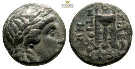 SELEUKID KINGDOM. Antiochos II Theos (261-246 BC). Ae. Sardes. 3,68 g. 15,8 mm.