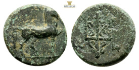 Caria, Mylasa 3rd-2nd centuries BC. AE. 1.53 Gr. 12,8mm.