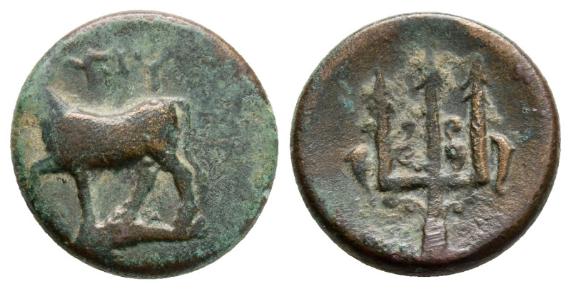 THRACE. Byzantion. (Circa 340-320 BC). AE Bronze (17,3 mm 3,5 g.)

.