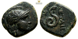 MYSIA. Pergamon. Philetairos. (200-133 BC.) Ae. (14,7 mm, 3,7 g)