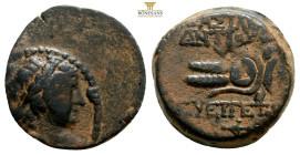 SELEUKID KINGS OF SYRIA. Antiochos VII Euergetes (Sidetes) (138-129 BC). Ae. Antioch. 5,1 g. 18,7 mm
