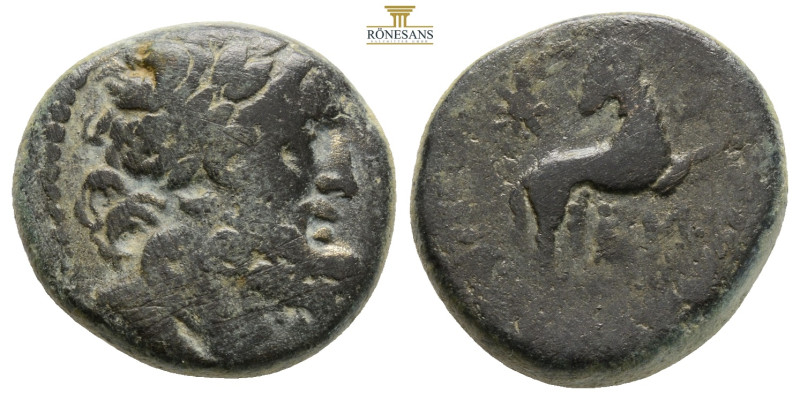 SYRIA, Seleucis and Pieria. Antioch. Pseudo-autonomous issue. (CY 43 = 12/3 AD)
...