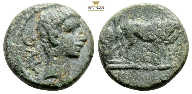 Macedon, Philippi. Augustus, 27 BC-AD 14. AE. 4.7 g. 18.1 mm.