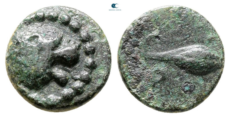 The Thracian Chersonese. Chersonesos circa 356-309 BC. 
Bronze Æ

11 mm, 1,17...