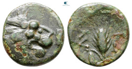The Thracian Chersonese. Lysimacheia circa 356-309 BC. Bronze Æ