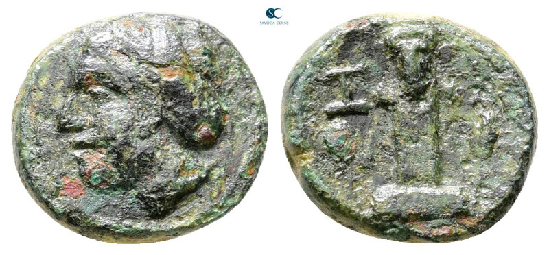 The Thracian Chersonese. Sestos circa 300 BC. 
Bronze Æ

12 mm, 1,89 g


...