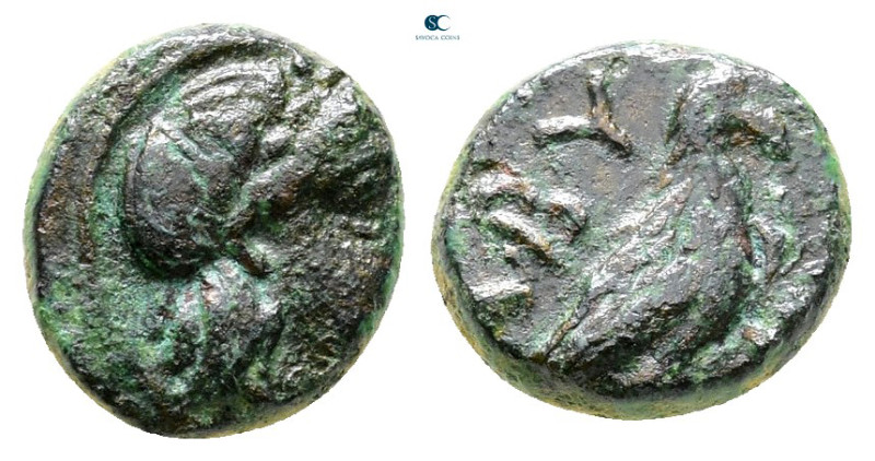 Troas. Abydos circa 400-250 BC. 
Bronze Æ

10 mm, 1,11 g



Very Fine