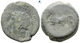 Numidia. Massinissa or Micipsa 203-118 BC. Bronze Æ