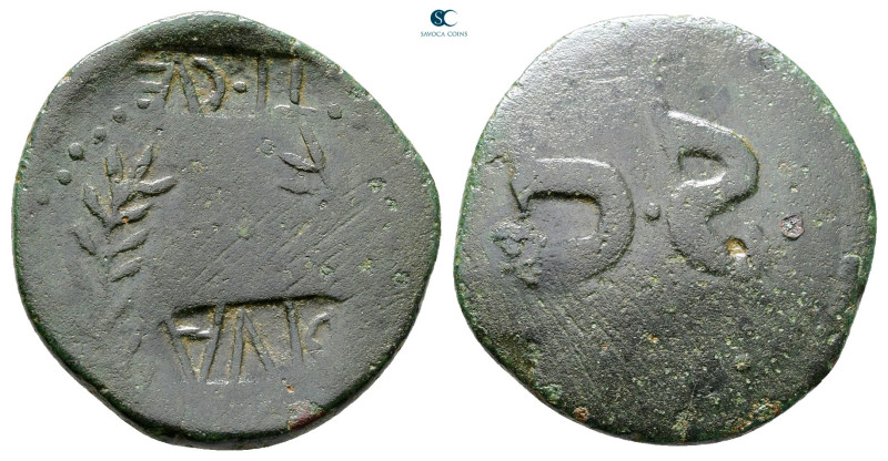 Augustus 27 BC-AD 14. Rome
As Æ

21 mm, 3,38 g



Fine