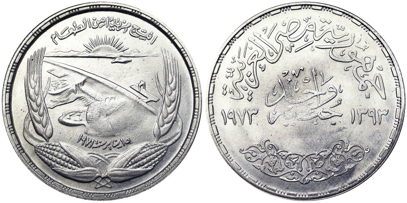 Egypt, Arab Republic (1391-date AH) (1971-date AD), 1 Pound, 1973, Ag. 25,00 g, ...