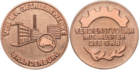 Ausgaben der DDR. 
Betriebliche Auszeichnungen. 
Sammlungen, Lots. Brandenburg/H., 5 Aus.-Med. (nichttragb., in OE), dabei 3x VEB Stahl- u. Walzwerk...