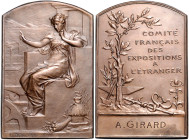 Ausländische Medaillen. 
Frankreich. 
Bro.-Plakette 1899, v. Louis Bott\'e9e, Prämie d. Comit\'e9 Francais des Expositions a l'Etranger (Französ. Ko...