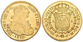 Fernando VII (1808-1833). 8 escudos. 1820. Popayán. FM. (Cal-83). (Cal onza-1302). Au. 27,08 g. Brillo original. Magnífico ejemplar. Rarísima en esta ...