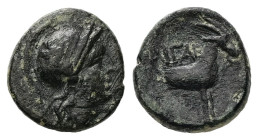 Aeolis, Aigai. AE, 1.66 g. - 12.72 mm. 2nd-1st centuries BC.
Obv.: Helmeted head of Athena right.
Rev.: Forepart of a goat right.
Ref.: SNG München 36...