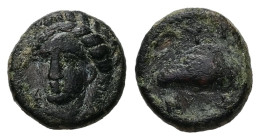 Aeolis, Gryneion. AE, 1.56 g. - 11.83 mm. 4th century BC.
Obv.: Laureate head of Apollo facing slightly left.
Rev.: ΓΥΡΝΗ, Mussel shell.
Ref.: SNG Ari...