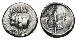 Bithynia, Kalchedon. AR Hemidrachm, 1.85 g. - 12.35 mm. Circa 367/6-340 BC.
Obv.: KAΛ. Forepart of bull left on grain ear; pentagram to left.
Rev.: Th...