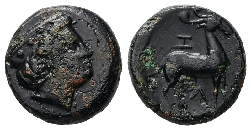 Troas, Zeleia. AE, 7.72 g. - 18.30 mm. 4th century BC.
Obv.: Head of Artemis rig...