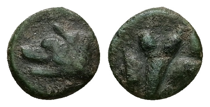 Argolis, Argos(?) AE, 0.86 g. - 9.90 mm. Circa 3rd-2nd centuries BC.
Obv.: Head ...