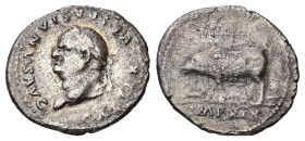 Vespasian, 69-79 AD. AR, Denarius. 2.88 g. 18.69 mm. Rome.
Obv: CAESAR VESPASIANVS AVG. Head of Vespasian, laureate, left.
Rev: IMP XIX. Sow left, w...