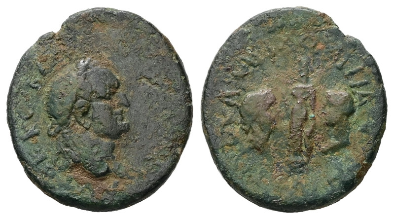 Troas, Ilium. Vespasian, AD 69-79. AE. 6.18 g. 22.75 mm.
Obv: Laureate head of V...