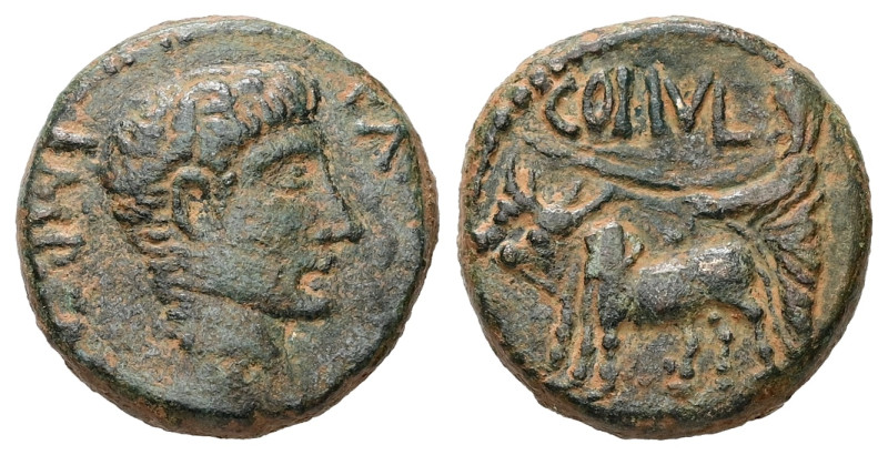 Phoenicia, Berytus. Augustus, c. AD 12/14. AE. 8.85 g. 20.10 mm. Quintus Caecili...