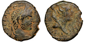 Roman Bronze Coin

19mm 4,05g