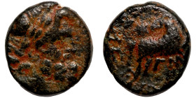 Seleucis Kingdom Greek Coin 1-4 BC Century

18mm 5,77g