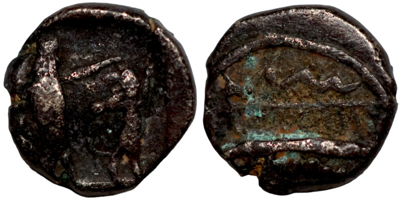 PHOENICIA. Sidon. Ba'alšillem II, circa 401-366 BC.

8mm 0,83g