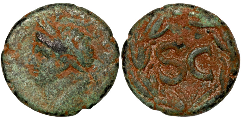 Vespasian. (69-79 AD). Æ Bronze

20mm 6,59g