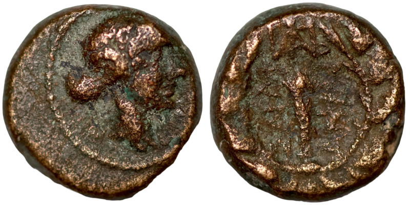 Greek coin 1-4 BC century

13mm 4,00g