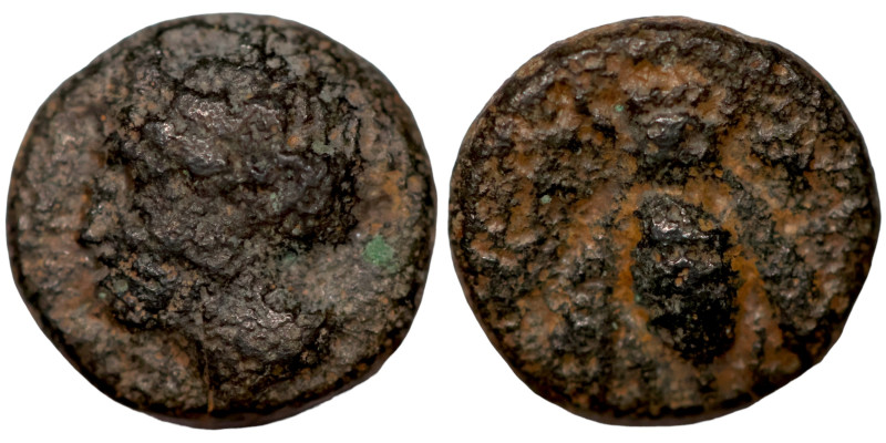 Greek coin 1-4 BC century

9mm 1,23g