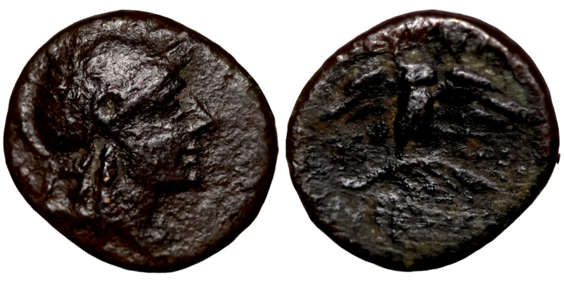 Greek coin 1-4 BC century

15mm 2,16g